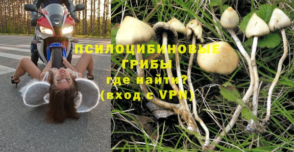 тгк Горно-Алтайск