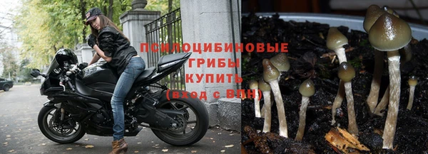 mdma Горнозаводск