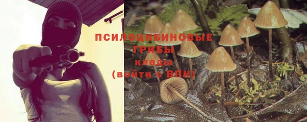 тгк Горно-Алтайск